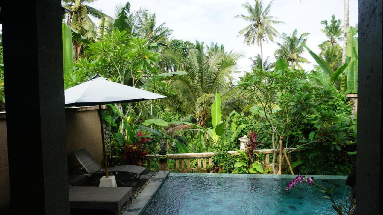 Villa Cilinaya Ubud Экстерьер фото